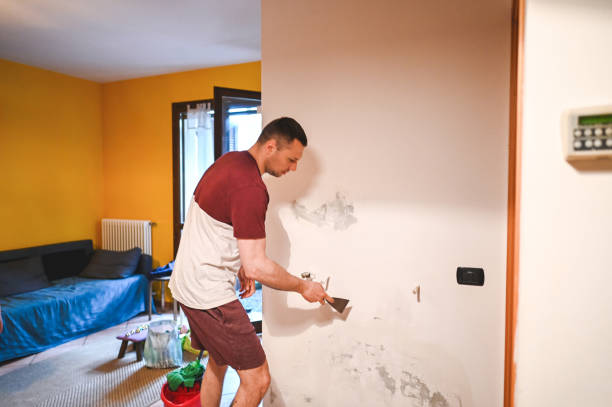 Best Localized Mold Remediation (e.g., coastal areas, humid climates) in Reedley, CA
