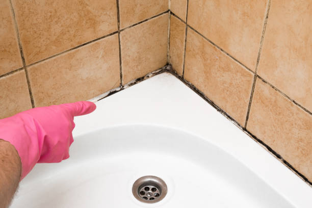 Best Mold Testing and Inspection Services in Reedley, CA